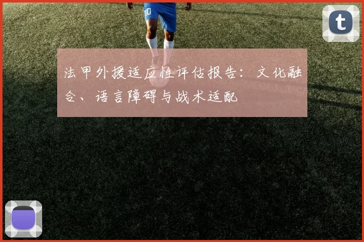法甲外援适应性评估报告：文化融合、语言障碍与战术适配